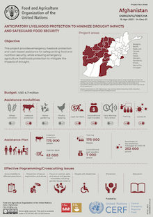 Afghanistan | Anticipatory livelihood protection to minimize drought impacts and safeguard food security